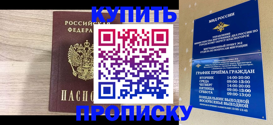 прописка 2025 в Северске